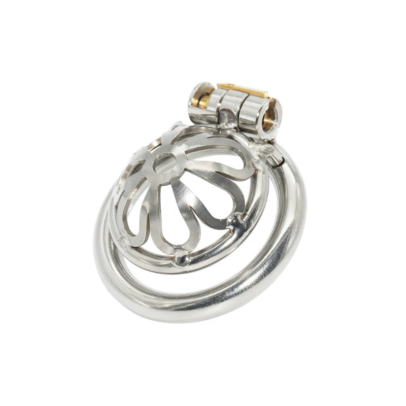 The Hotwife Cage: Micro Steel Chastity Belt (20 mm)
